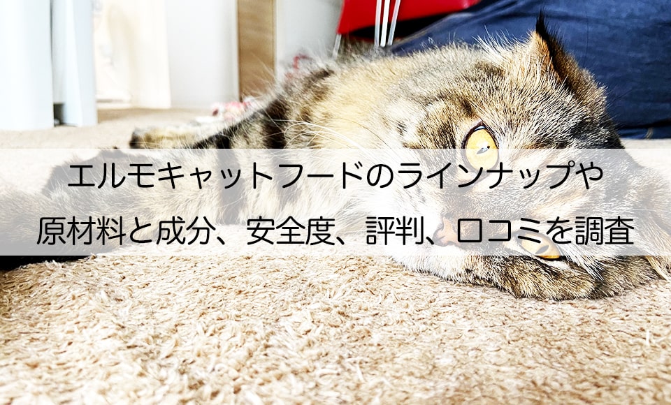 ELMOエルモ 子猫用キャットフード(グローアップ)9.6キロ - blog.knak.jp