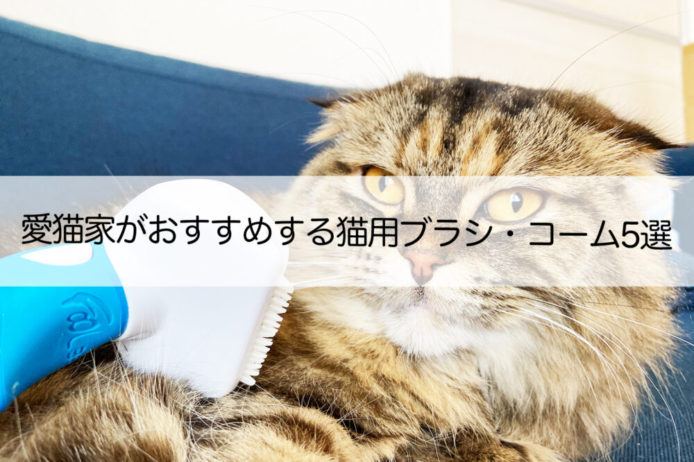 愛猫家がおすすめする猫用ブラシ コーム5選 ねこらぶ