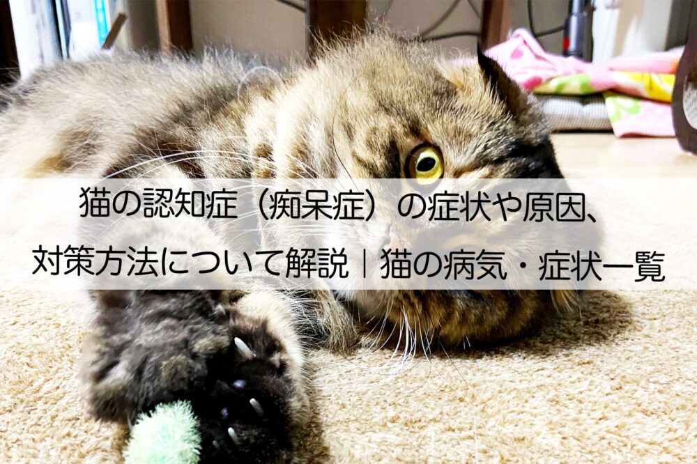 猫の認知症 痴呆症 の症状や原因 対策方法について解説 猫の病気 症状一覧 ねこらぶ