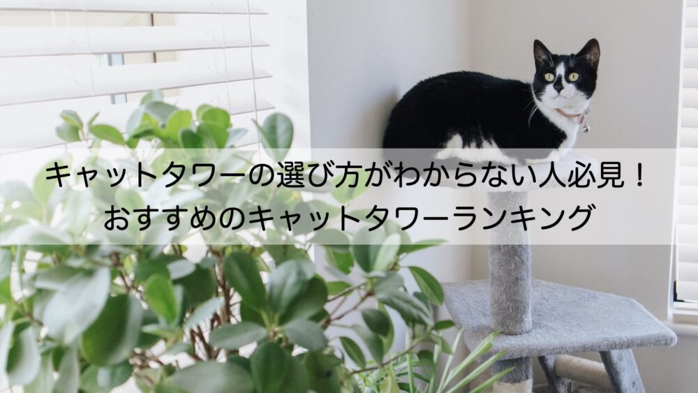 キャットタワーの選び方がわからない人必見！おすすめのキャットタワーランキング | ねこらぶ