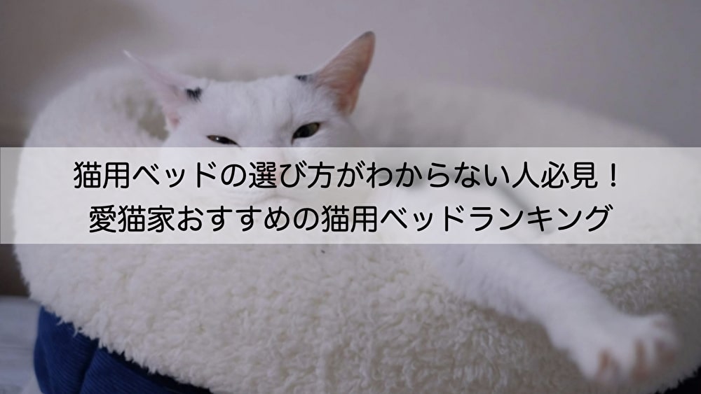 猫用ベッドの選び方がわからない人必見！愛猫家おすすめの猫用ベッド