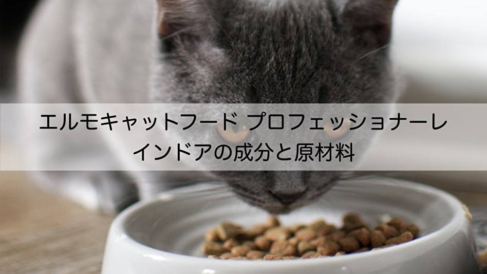 エルモ キャットフード 子猫用 離乳期~12ヶ月  2kg×2